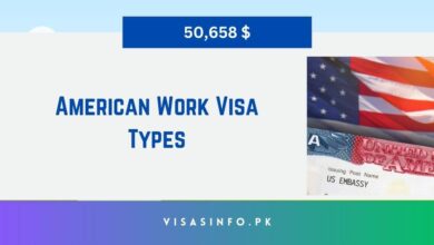 American Work Visa Types