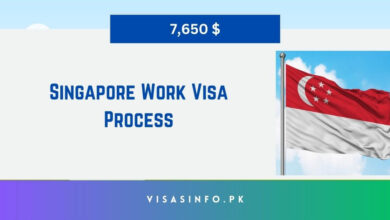 Singapore Work Visa Process