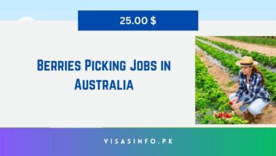 Berries Picking Jobs in Australia