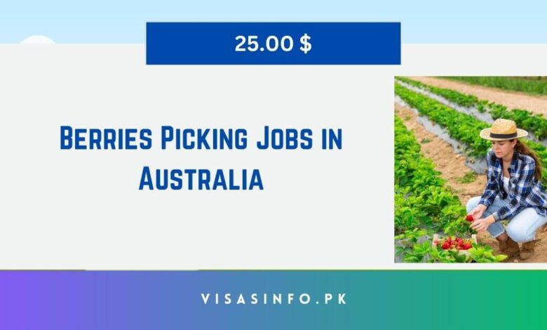 Berries Picking Jobs in Australia