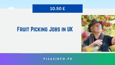 Fruit Picking Jobs in UK