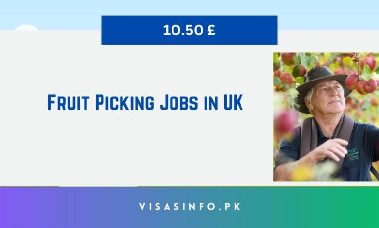 Fruit Picking Jobs in UK