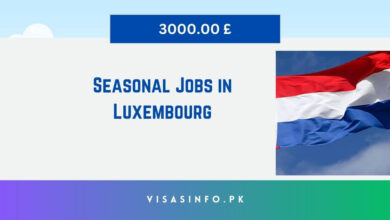 Seasonal Jobs in Luxembourg