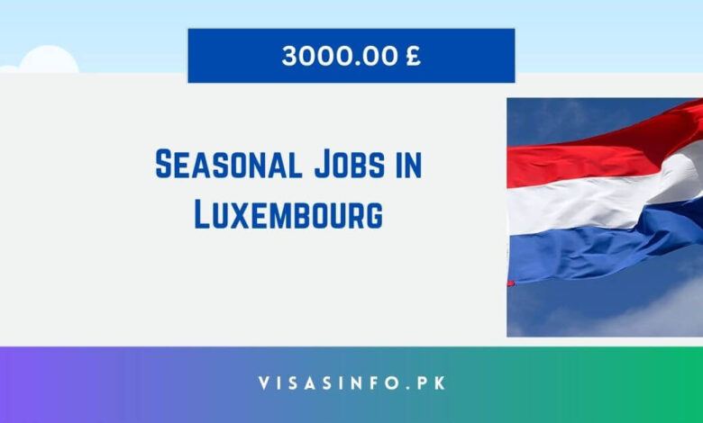 Seasonal Jobs in Luxembourg