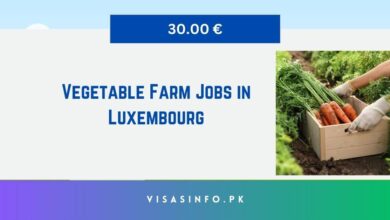 Vegetable Farm Jobs in Luxembourg