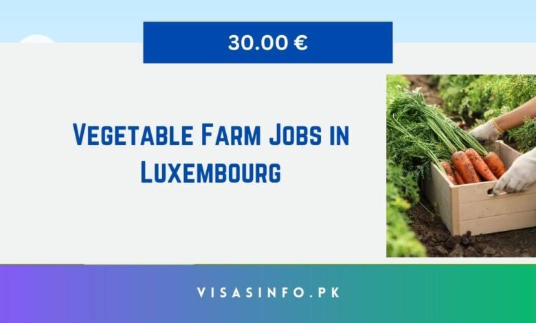 Vegetable Farm Jobs in Luxembourg