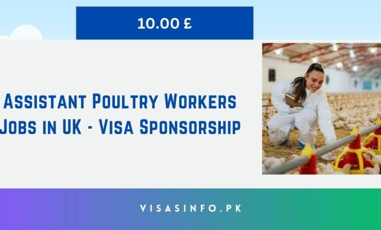 Assistant Poultry Workers Jobs in UK - Visa Sponsorship