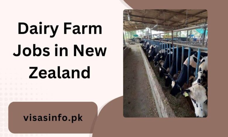 Dairy Farm Jobs in New Zealand