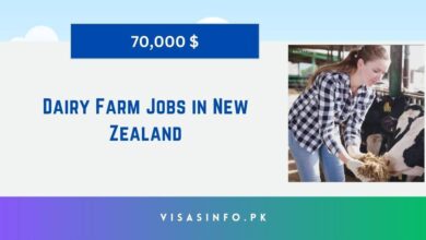 Dairy Farm Jobs in New Zealand