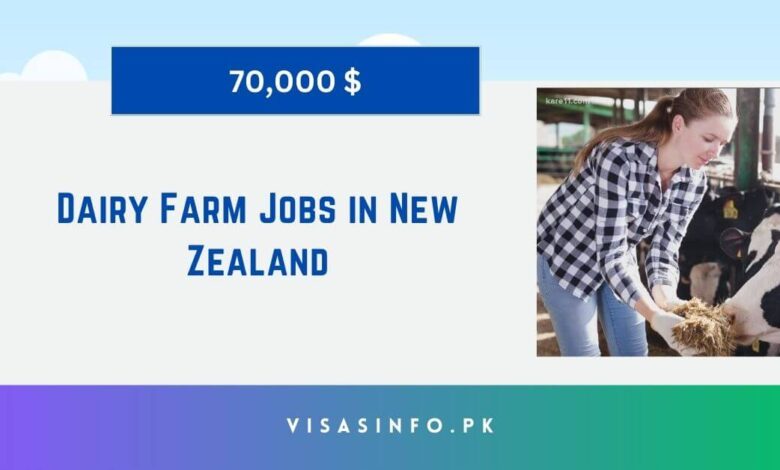 Dairy Farm Jobs in New Zealand