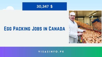 Egg Packing Jobs in Canada