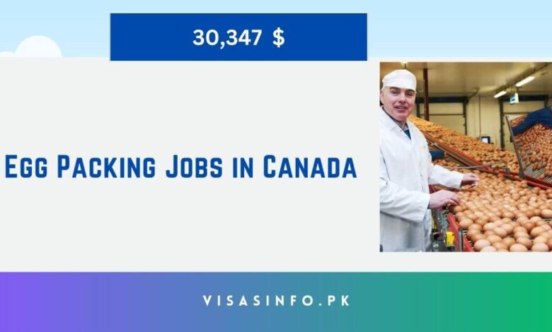 Egg Packing Jobs in Canada