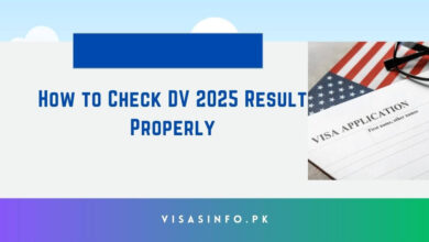 How to Check DV 2025 Result Properly