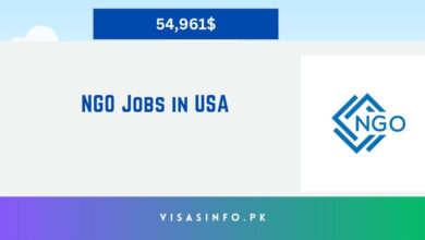 NGO Jobs in USA