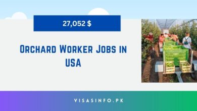 Orchard Worker Jobs in USA