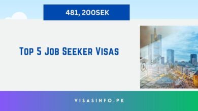 Top 5 Job Seeker Visas