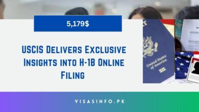 USCIS Delivers Exclusive Insights into H-1B Online Filing