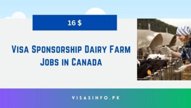 Visa Sponsorship Dairy Farm Jobs in Canada