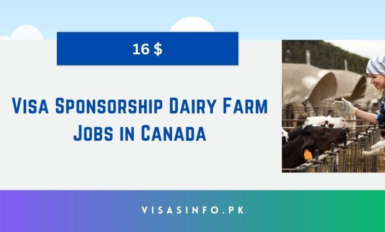 Visa Sponsorship Dairy Farm Jobs in Canada