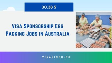 Visa Sponsorship Egg Packing Jobs in Australia