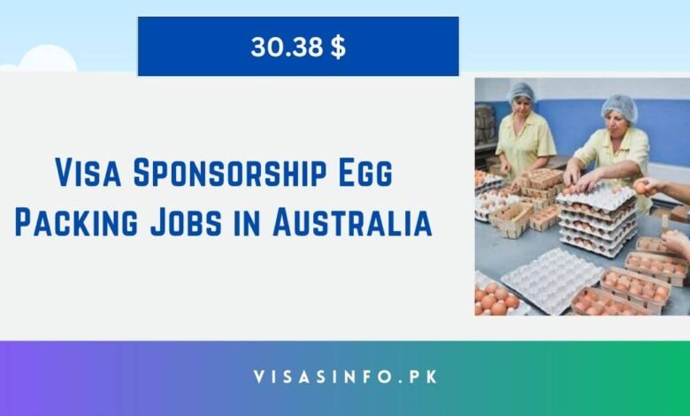 Visa Sponsorship Egg Packing Jobs in Australia