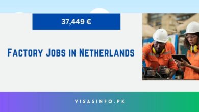 Factory Jobs in Netherlands