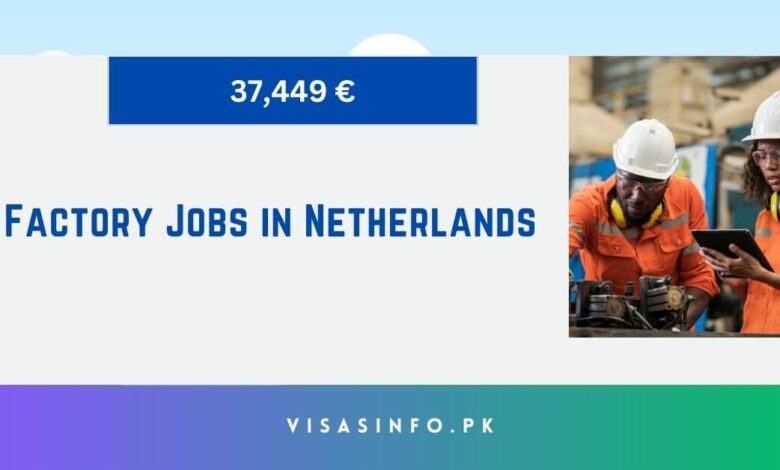 Factory Jobs in Netherlands