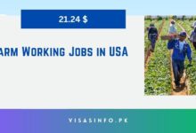 Farm Working Jobs in USA