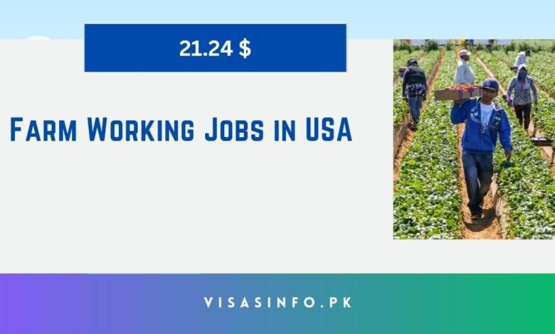 Farm Working Jobs in USA