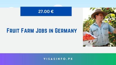 Fruit Farm Jobs in Germany