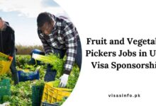 Fruit and Vegetable Pickers Jobs in UK - Visa Sponsorship