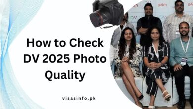 How to Check DV 2025 Photo Quality