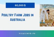 Poultry Farm Jobs in Australia