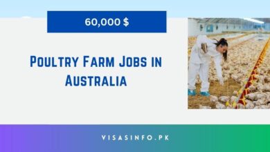 Poultry Farm Jobs in Australia