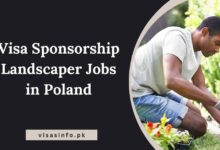 Visa Sponsorship Landscaper Jobs in Poland