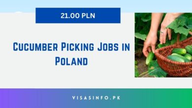 Cucumber Picking Jobs in Poland