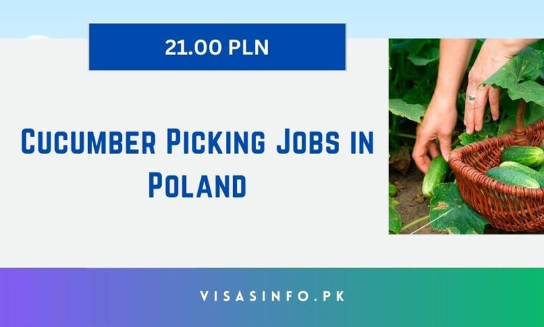 Cucumber Picking Jobs in Poland