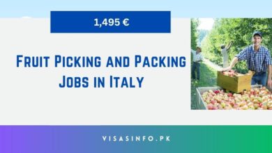 Fruit Picking and Packing Jobs in Italy