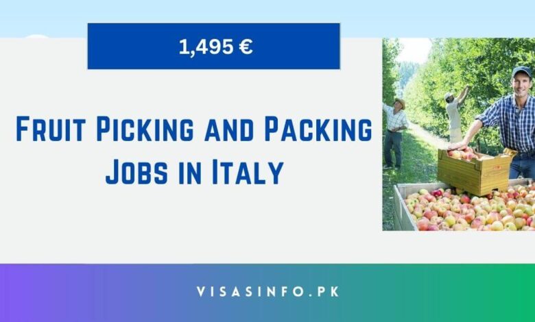 Fruit Picking and Packing Jobs in Italy