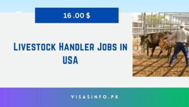 Livestock Handler Jobs in USA