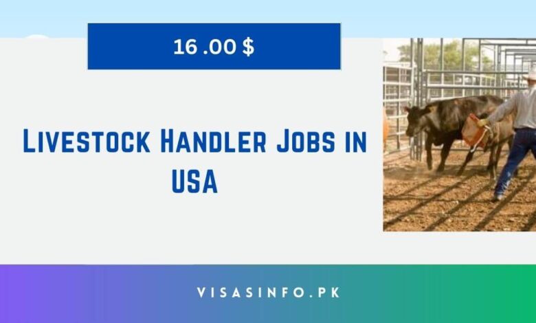 Livestock Handler Jobs in USA