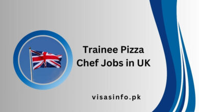 Trainee Pizza Chef Jobs in UK