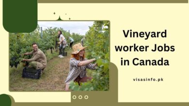 Vineyard worker Jobs in Canada