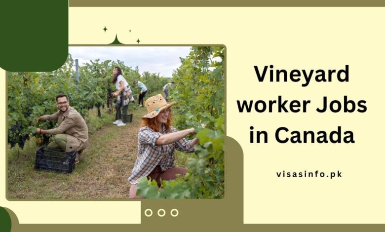 Vineyard worker Jobs in Canada