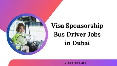 Visa Sponsorship Bus Driver Jobs in Dubai