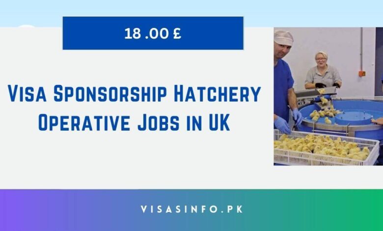 Visa Sponsorship Hatchery Operative Jobs in UK