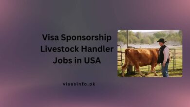 Visa Sponsorship Livestock Handler Jobs in USA