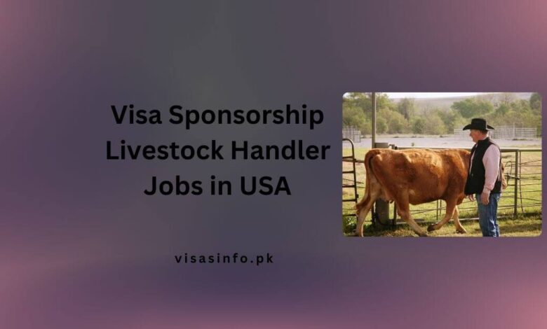 Visa Sponsorship Livestock Handler Jobs in USA