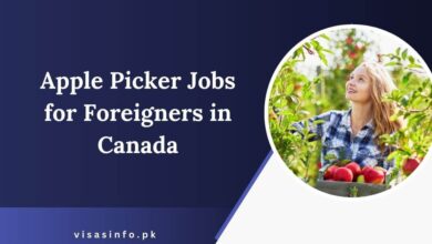 Apple Picker Jobs for Foreigners in Canada