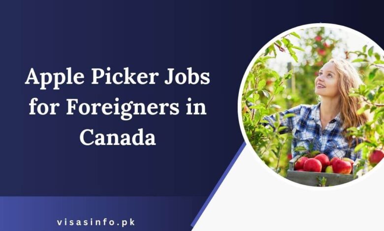 Apple Picker Jobs for Foreigners in Canada